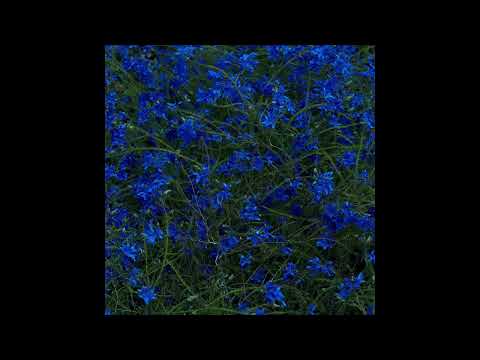 Jefre Cantu-Ledesma - The Milky Sea