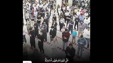 شيخ رعد محمد الكردي اجمل حالات واتس اب دينية سورة الزمر صلاة التراويح في المسجد البهشت🌿🖤