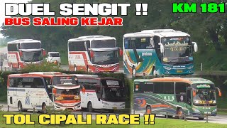 Duel Sengit Bus Saling Kejar‼️ Tol Cipali Jadi Ajang Balapan Kilometer 181
