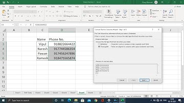 Text to Column Wizard Fixed use in M S Excel Part 1 of 2
