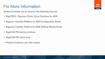 How to find additional information on Gigamon Visibility components in AWS