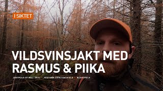 Vildsvinsjakt med Rasmus &amp; Piika