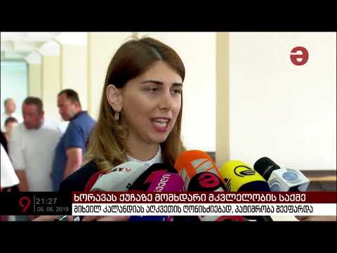 მიხეილ კალანდიას პატიმრობა შეეფარდა - ის ბრალს არ აღიარებს