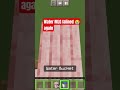 Water MLG failed 😭 #shorts #minecraft #gaming #games #mlg #clutch @dream@AnshuBisht