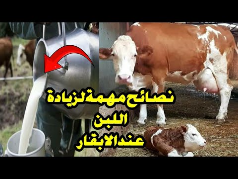 فيديو: المخطط التكنولوجي: مفاهيم أساسية