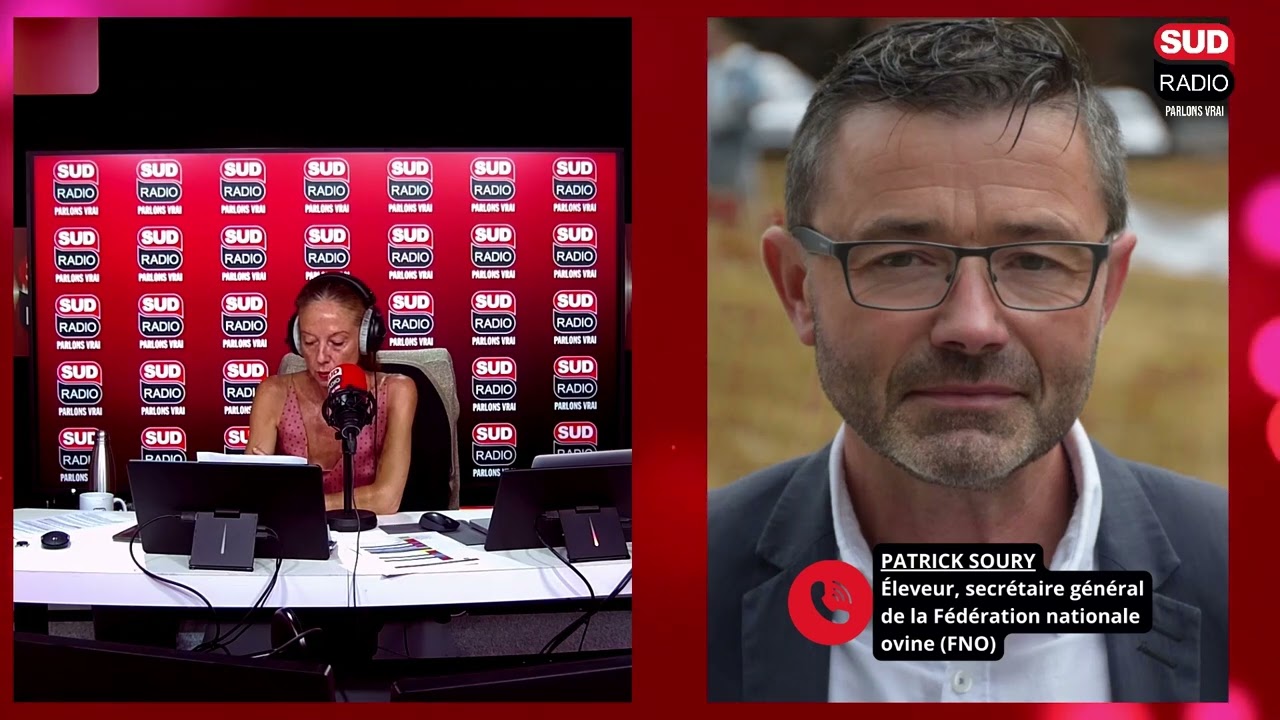 L’explosion de la fièvre ovine