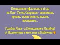 О Полнолунии 31.10.2020 в 16:49 по Киеву