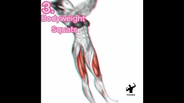 Get Shredded For Summer Fast! Bang For Your Buck Functional Excersies! Beginner Friendly!