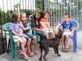 Dogs n kids 027