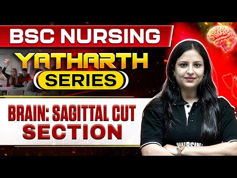 Brain: Sagittal Cut View | YATHARTH Series | 3D Classes | B.Sc. Nursing Course #bscnursing