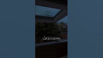 سورة البقرة - الآية ٢٥٥ (آية الكرسي) | Baqra - 255 #قرآن #quran
