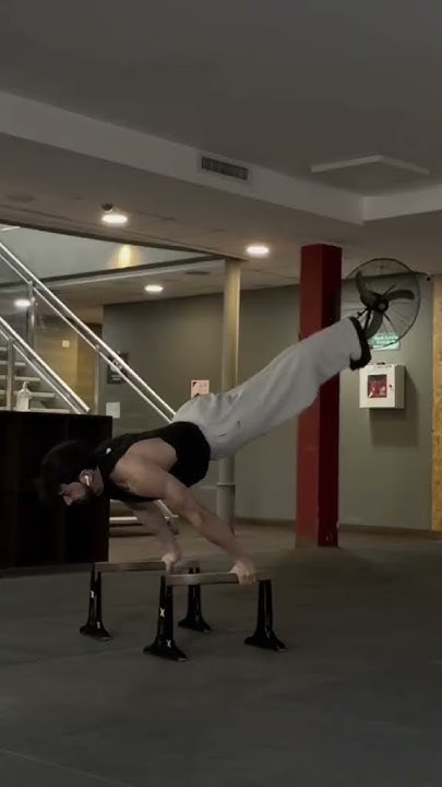 How You Combine Gym Calisthenics YouTube how-you-combine-gym-calisthenics-youtube