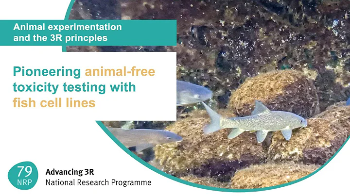 NFP 79 – Advancing 3R: How to successfully implement new methods