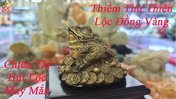 Thiềm Thừ Tài Lộc Đồng Vàng - Phong Thủy Maxi