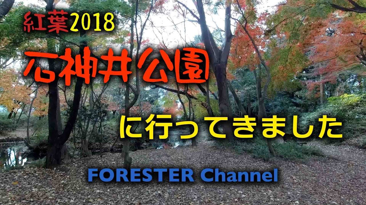 石神井公園の紅葉18 高画質版 Youtube