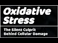 Oxidative Stress: The Silent Culprit Behind Cellular Damage