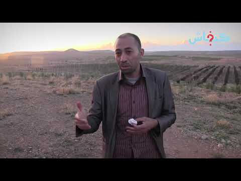 عبد العزيز حديدو إجازة في التاريخ واعتصامات انتهت بزراعة التفاح