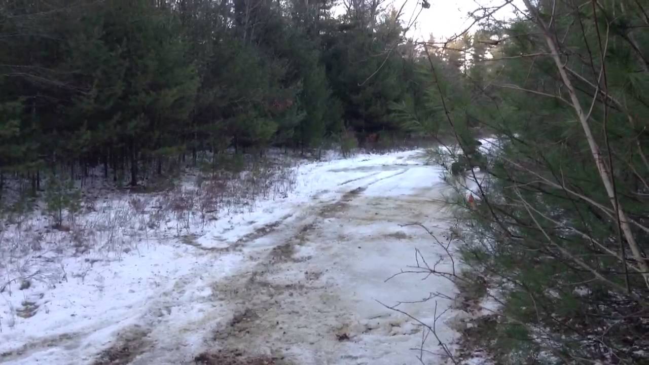 Quad on broken ice YouTube