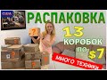 Потерянные посылки США/ Распаковка 13 коробок по 7$/ Не знаем, что внутри/ Ищем клад/ Флорида