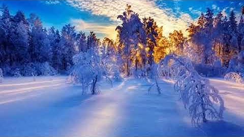 ألا بذكر الله تطمئن القلوب | القارئ سلمان العتيبي