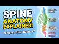 Spine Anatomy and types of curves explained by Dr. Anam in urdu
