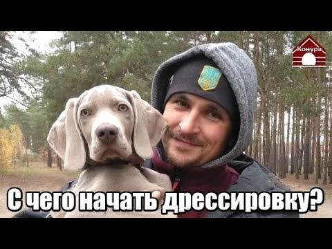 Видео: Ящик для дрессировки щенков и собак