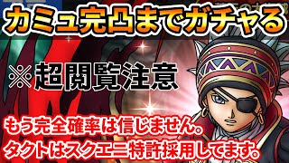 【ドラクエタクト】海賊カミュが優先的に出るテーブルっぽいので完凸までガチャります【完全確率党は解散しました】