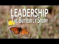 Leadership: The Butterfly Story