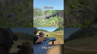550 yard shots are fairly easy with an 18” rifle and Leupold scope. #training #shorts