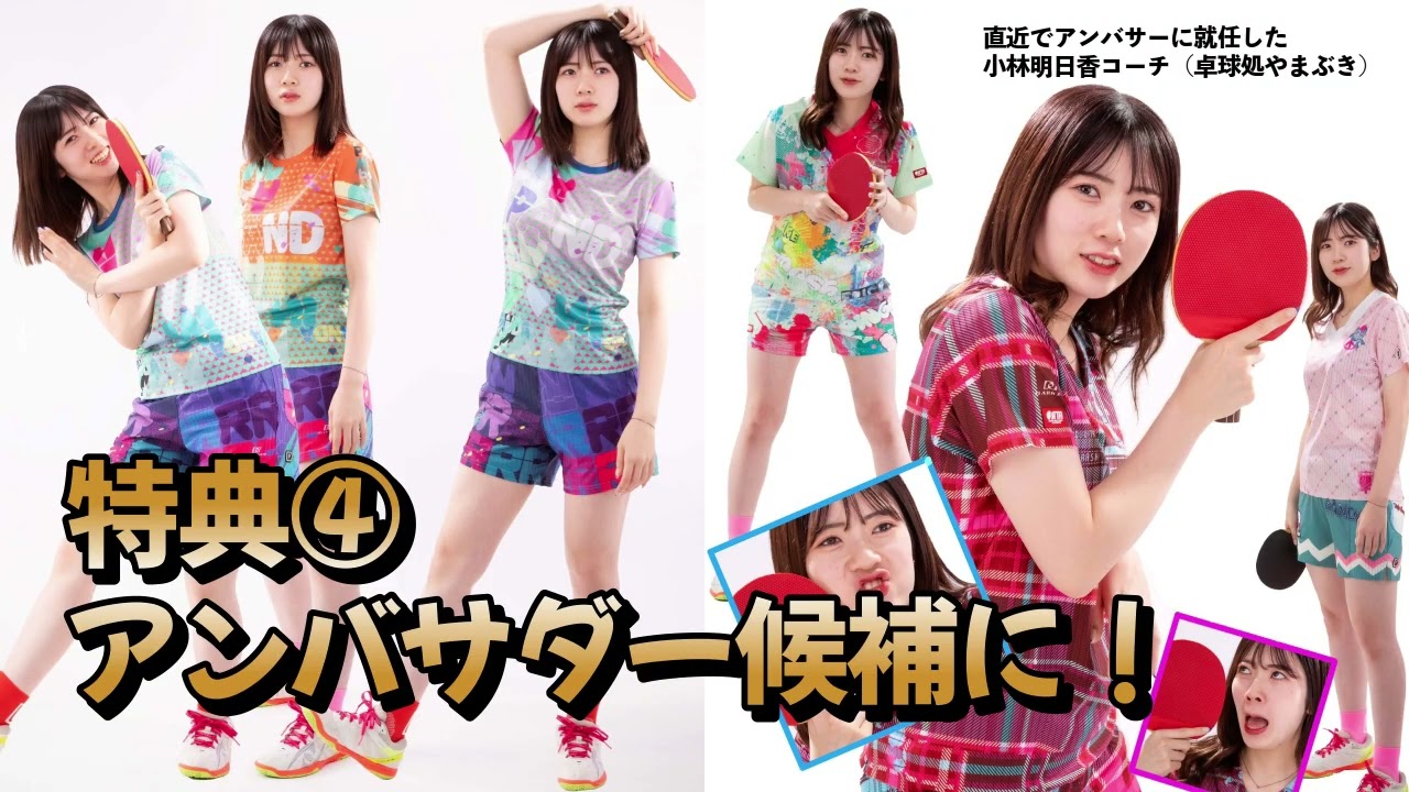 パンダーニのカタログを卓球場に置きませんか？４つの超お得な特典あります！【卓球場へのご提案】