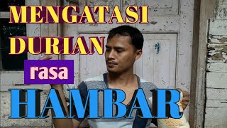 cara mengatasi buah durian keras dan tidak manis