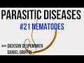 Parasitic Diseases Lectures #21: Nematodes