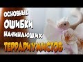 8 ОСНОВНЫХ ОШИБОК НАЧИНАЮЩИХ ТЕРРАРИУМИСТОВ | НЕ ДЕЛАЙ ТАК!