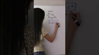 The Pythagorean Theorem