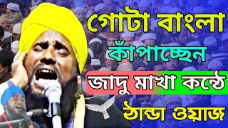 বাংলা বাঘ মাওলানা আমিনুদ্দিন নক্সেবন্দী||পশ্চিমবঙ্গের জীবন গায়ক||ভারতের বিখ্যাত বক্তা আমিনুদ্দিন