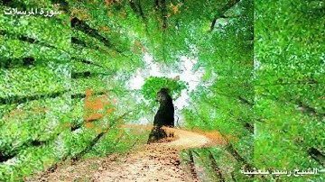 المصحف المرتل للشيخ رشيد بلعشية ((سورة المرسلات))