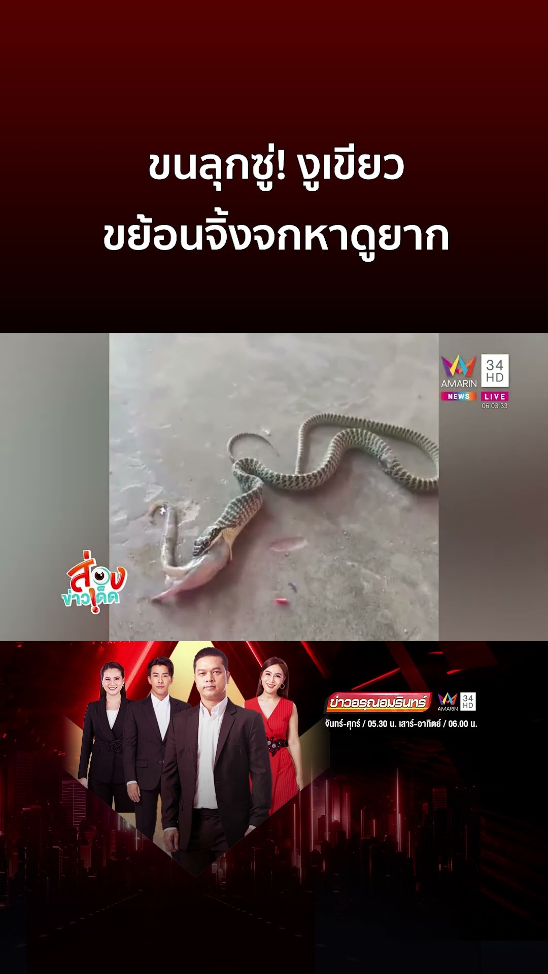 ขนลุกซู่! งูเขียว ขย้อนจิ้งจกหาดูยาก | ข่าวอรุณอมรินทร์
