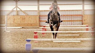 A Girl And Her Horse! - Youtube