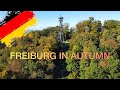 Freiburg im breisgau  in autumn 