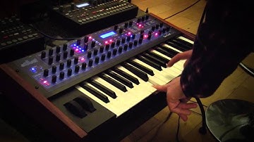 DSI Mono Evolver Keyboard - 5 Live Experimental Sequences...