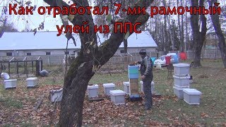 видео: Как отработал 7-ми рамочный улей из ППС Обзор 7 ми рамочного улья от канала Белорусское Пчеловодство картинка: Как отработал 7-ми рамочный улей из ППС Обзор 7 ми рамочного улья от канала Белорусское Пчеловодство