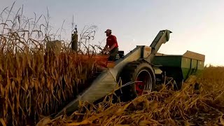 Picking Corn After Dark! Corn Picking Breakdowns! Harvest 2023!
