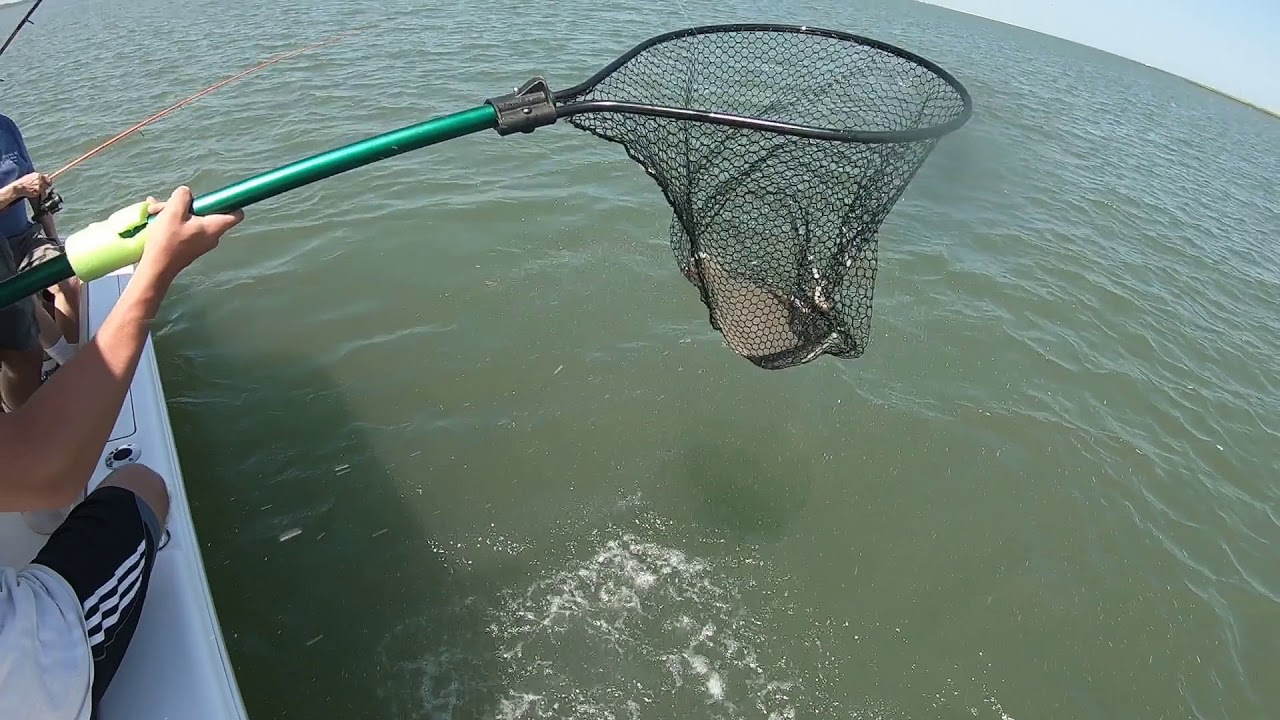 May 24th, 2018 Wachapreague, Virginia Flounder Fishing YouTube