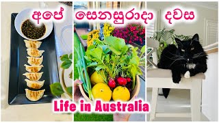මල් පිරුණු වසන්තය | Dumpling Recipe |A Day in My Life |Home garden |Sinhala Vlog |Life in Australia