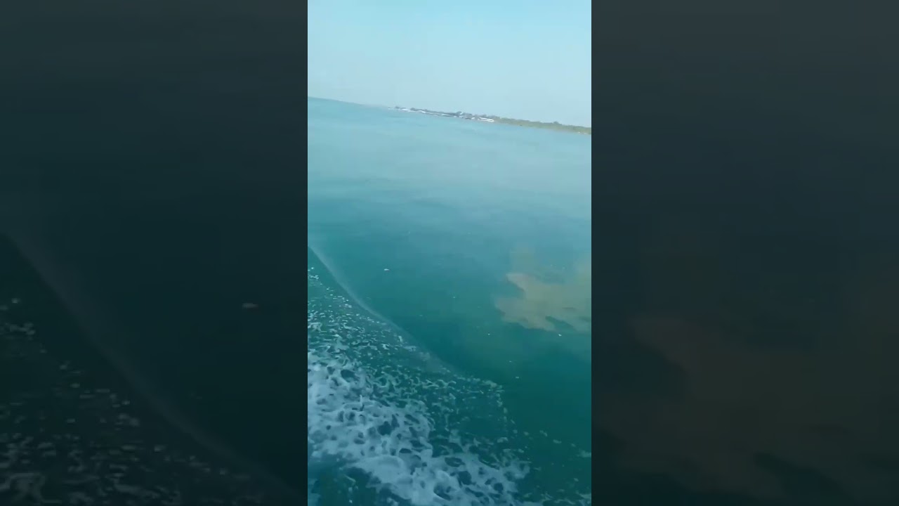 Pulau NUMBING&Pulau GIN BESAR || jualan di p.numbing dan gin besar n jalan pulangnya