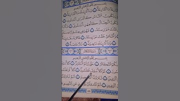 سورة التكاثر بصوت علاء عقل 🥰 😌#قران_كريم #قران_كر #اكسبلور #duet #الله  سورة التكاثر بصوت
