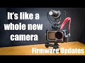 Why you should buy a DJI Osmo Action in 2020 : Firmware 01.09