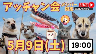 【メンバー限定🐶】令和8年5月のアッチャン会の飲み会🍺🍻19回目でしゅ～🐶🐶🐱🐱