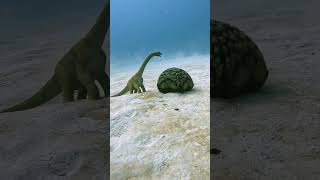 මුහුදු පතුලෙන් හමු උන අමුතුම සතා  🥺