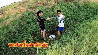 หาปลาในป่าผักบุ้งกับน้องมาย